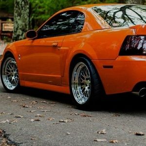 Meet your Posher, Austin